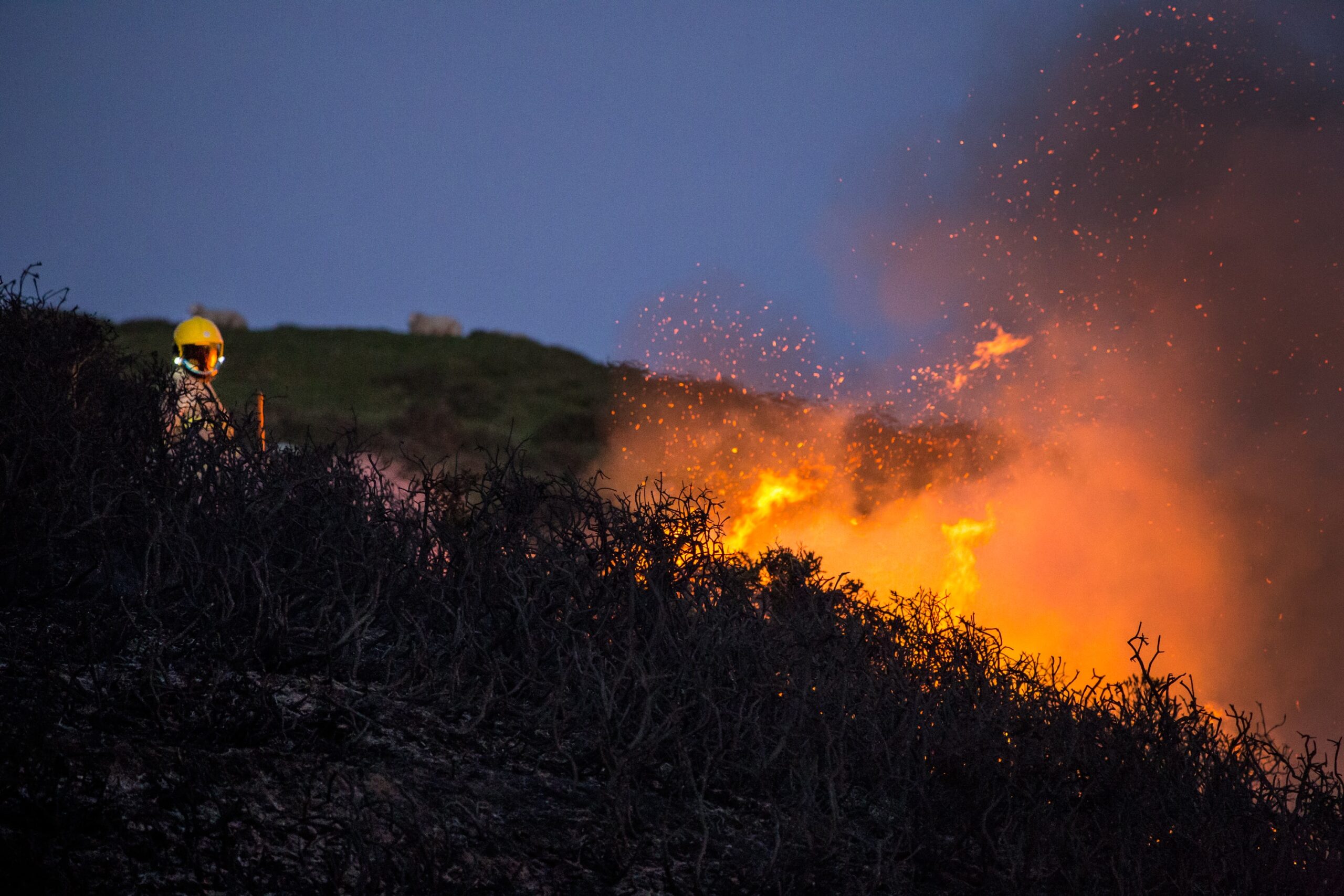 Bushy terrain catching fire