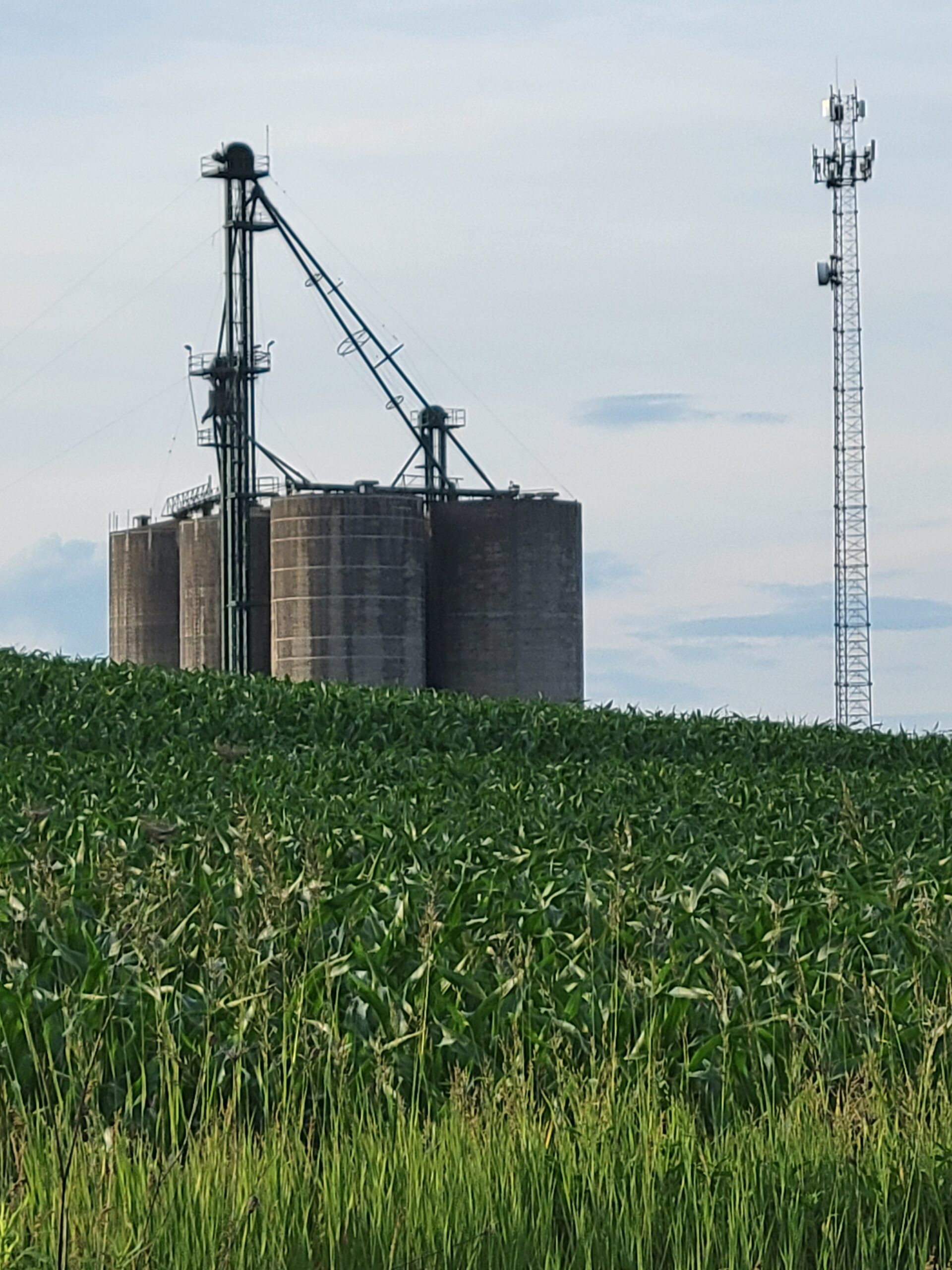 Green pasture with silo and tower