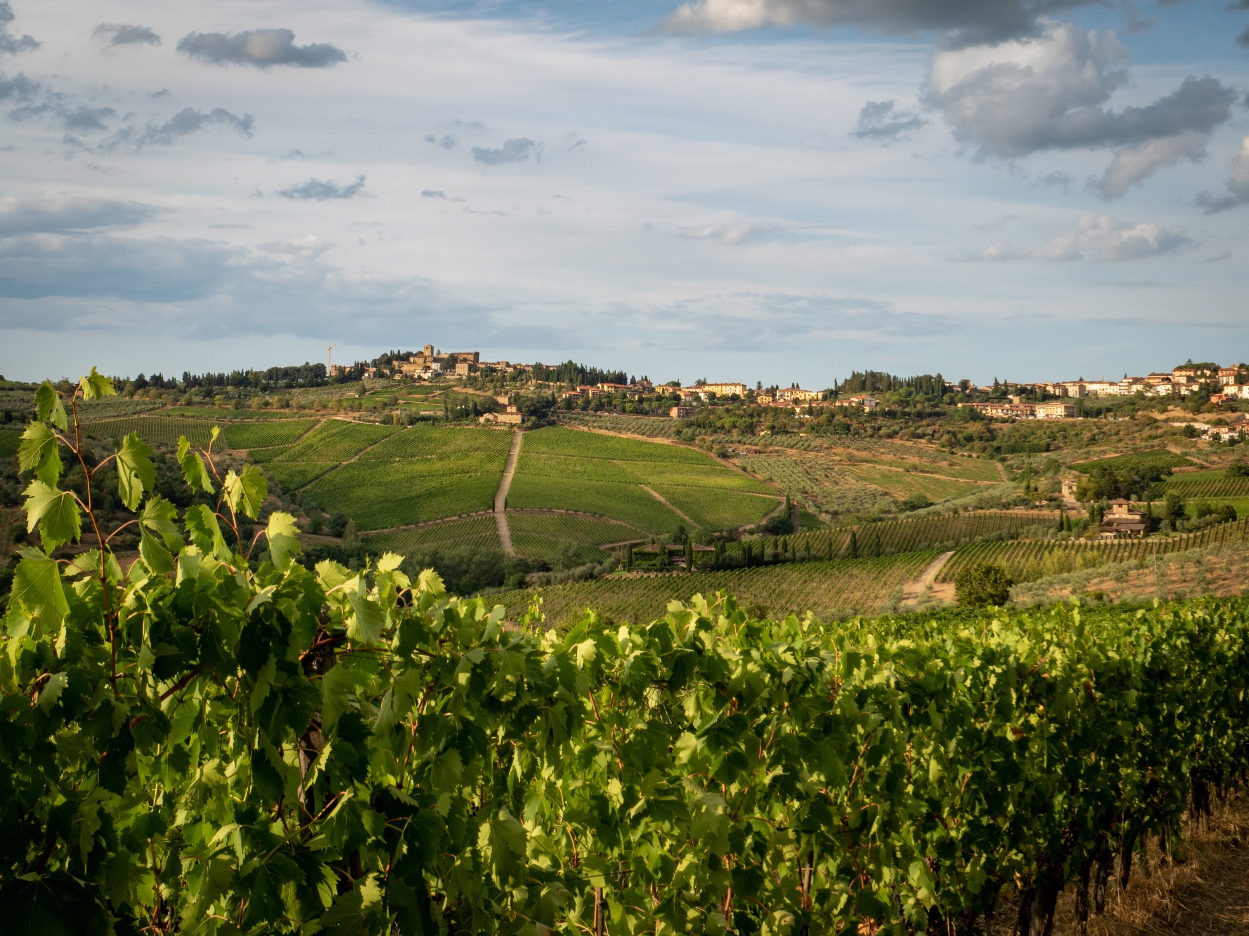 Rural Italy