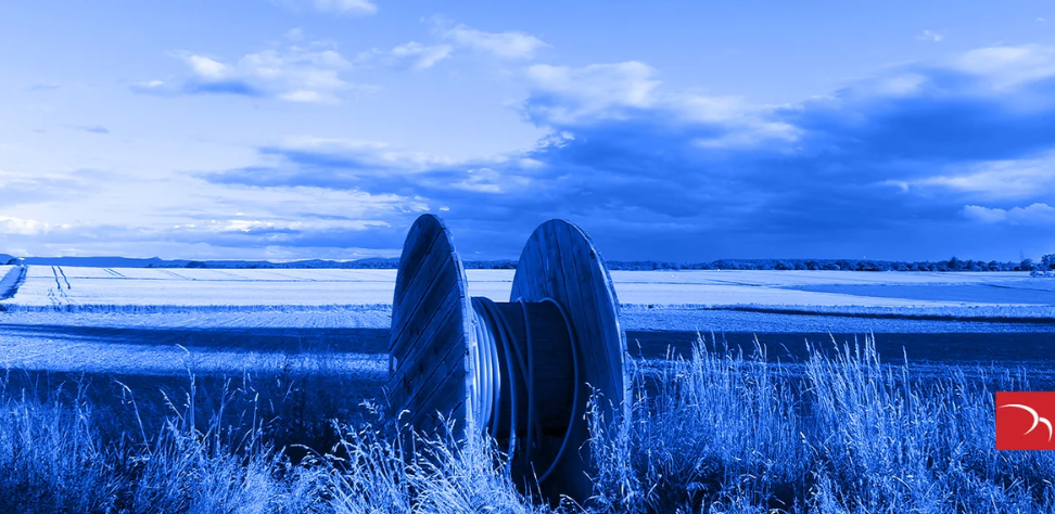 Wire in field